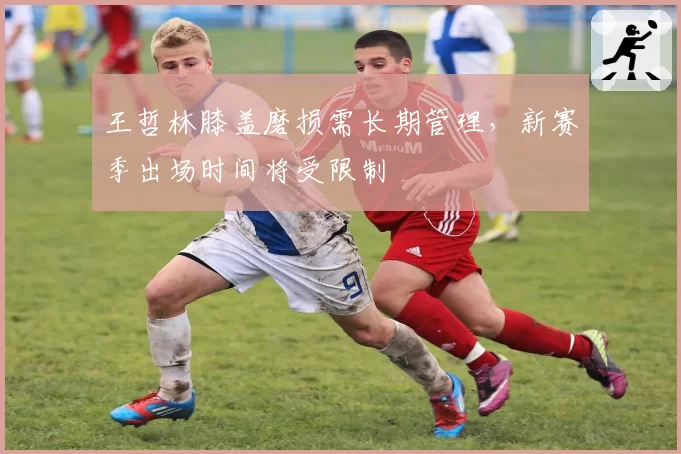 王哲林膝盖磨损需长期管理,新赛季出场时间将受限制