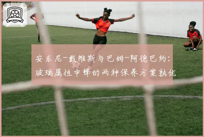 安东尼-戴维斯与巴姆-阿德巴约：玻璃属性中锋的两种保养方案孰优孰劣？