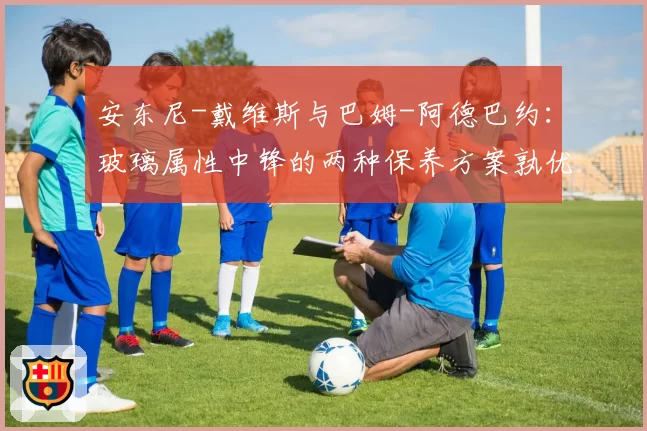 安东尼-戴维斯与巴姆-阿德巴约：玻璃属性中锋的两种保养方案孰优孰劣？